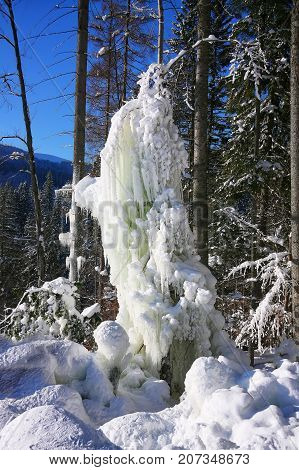 Winter snow covered fir trees on mountainside on blue sky with sun shine background. Dramatic winter scene