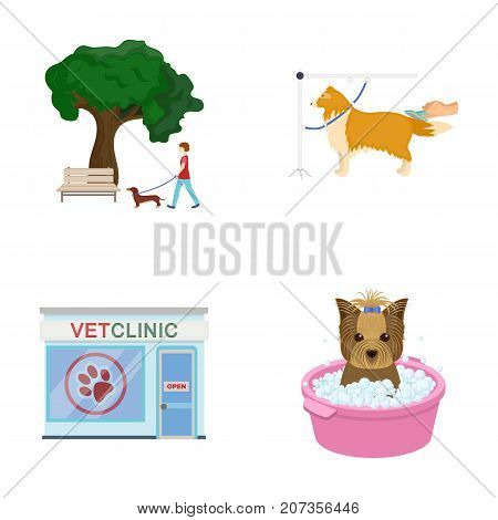 Walking with a dog in the park, combing a dog, a veterinarian's office, bathing a pet. Vet clinic and pet care set collection icons in cartoon style vector symbol stock illustration .