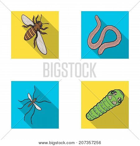 Arthropods insect mosquito, bee.Earth worm, caterpillar, vermicular set collection icons in flat style vector symbol stock isometric illustration .