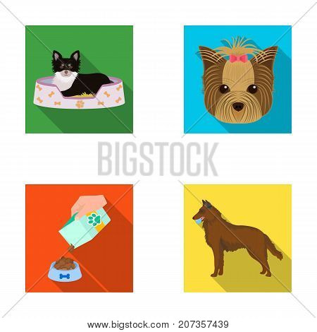 A dog in a lounger , a muzzle of a pet, a bowl with a feed, a sheepdog with a ball in his teeth. Pet, dog care set collection icons in flat style vector symbol stock illustration .
