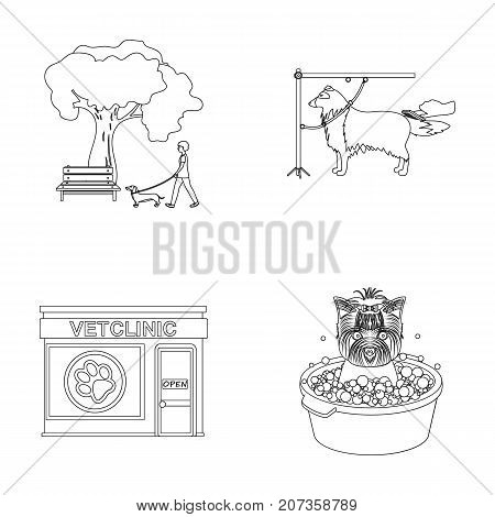 Walking with a dog in the park, combing a dog, a veterinarian's office, bathing a pet. Vet clinic and pet care set collection icons in outline style vector symbol stock illustration .