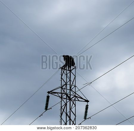 Assembly And Installation Of New Support Of A Power Line