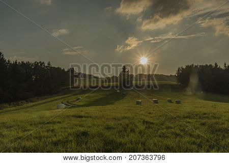 Sun and field in color evening in Slavkovsky les national park in autumn time