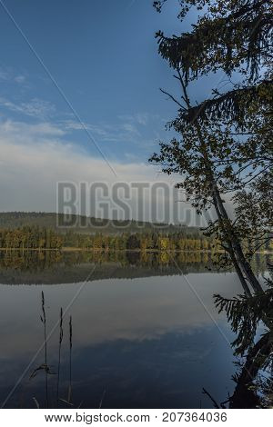 Blue morning near Kladska pond in autumn time with fog