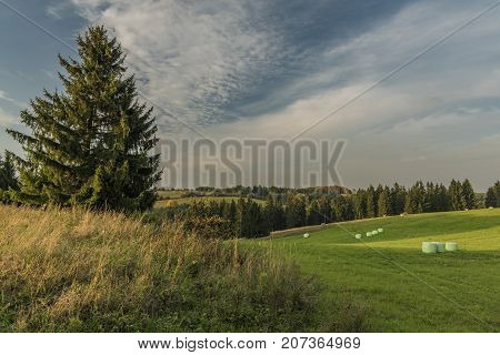 Color Evening In Slavkovsky Les National Park In Autumn Time