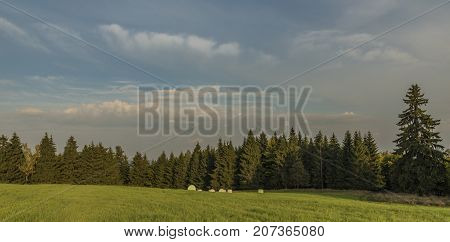 Color Evening In Slavkovsky Les National Park In Autumn Time