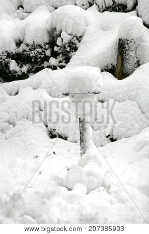 Weather anomaly. Snow in May. Garden covered with snow after snowstorm. Europe. Gloomy day.
