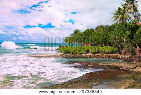 Seascape with a picturesque beach and tropical vegetation