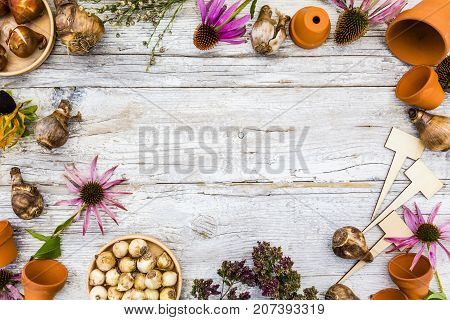Frame with flower bulbs and garden accessories for planting in the ground with space for text.