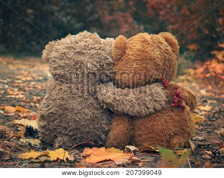 Two Teddy bear hugging each other and looking at the autumn forest