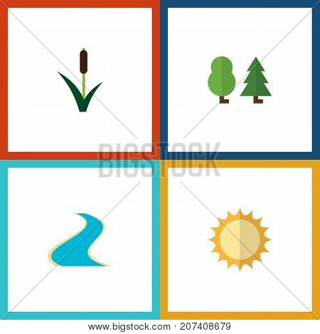 Flat Icon Nature Set Of Tributary, Solar, Cattail And Other Vector Objects