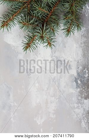 christmas background: branch of spruce on a gray concrete background space for text