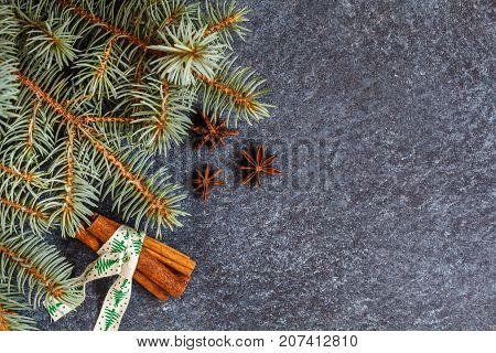 christmas background: branch of spruce on a gray concrete background space for text