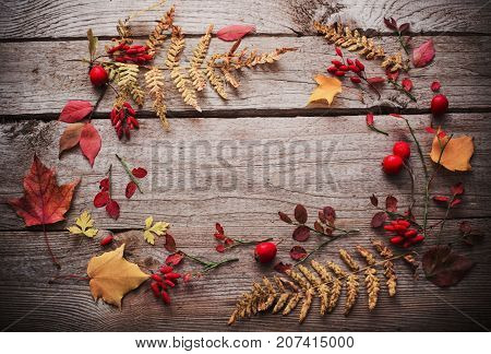 red berriaes and autumn leaves on old wooden background
