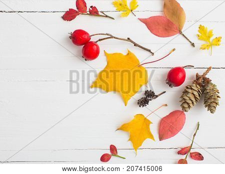 red berriaes and autumn leaves on white wooden background