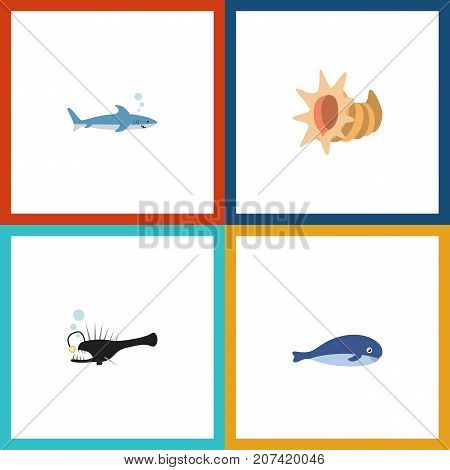 Flat Icon Marine Set Of Fish, Cachalot, Seashell And Other Vector Objects
