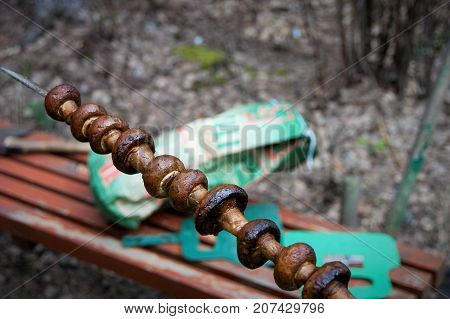 Grilled champignons on the skewer with a blurred background