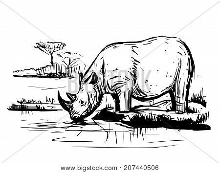 Sketch of rhinoceros. Hand drawn illustration converted to vector