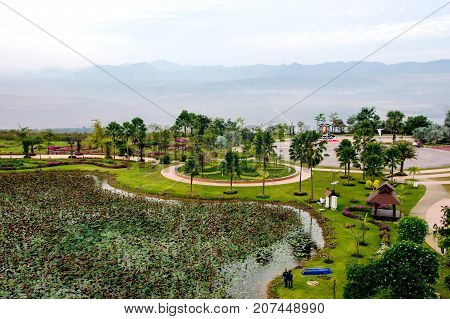 Park view from above brid eye view