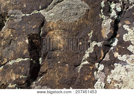 The surface of the old dark stone covered with green and white moss.