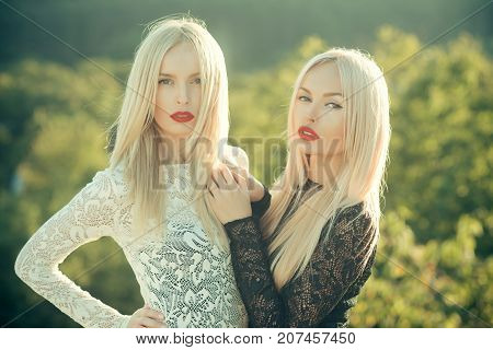 Contrasts And Opposites Concept