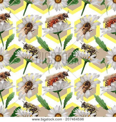 Exotic bee wild insect pattern in a watercolor style. Full name of the insect: bee, honeybee. Aquarelle wild insect for background, texture, wrapper pattern or tattoo.