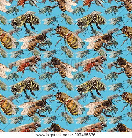 Exotic bee wild insect pattern in a watercolor style. Full name of the insect: bee, honeybee. Aquarelle wild insect for background, texture, wrapper pattern or tattoo.