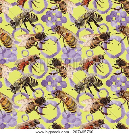 Exotic bee wild insect pattern in a watercolor style. Full name of the insect: bee, honeybee. Aquarelle wild insect for background, texture, wrapper pattern or tattoo.