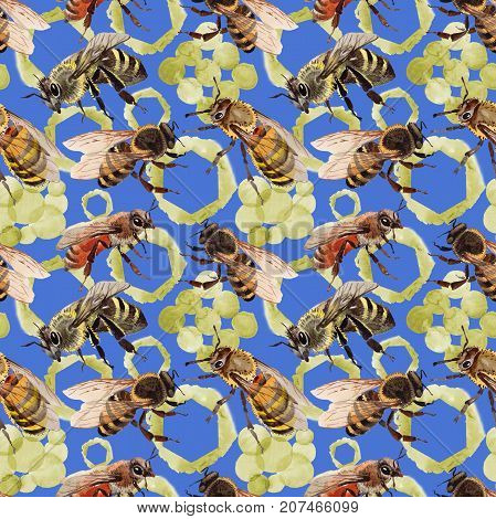 Exotic bee wild insect pattern in a watercolor style. Full name of the insect: bee, honeybee. Aquarelle wild insect for background, texture, wrapper pattern or tattoo.