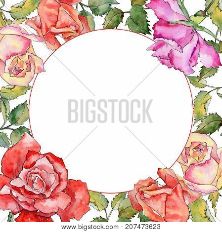 Wildflower rose flower frame in a watercolor style. Full name of the plant: rose. Aquarelle wild flower for background, texture, wrapper pattern, frame or border.