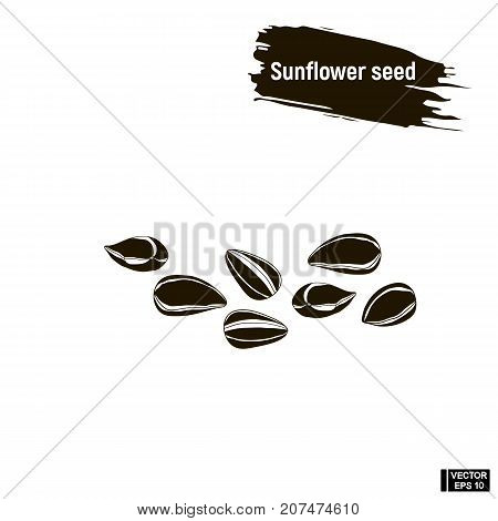Sunflower Seeds, Outline Ink Sketch