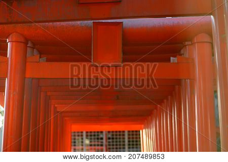 Multiple red torii gates form a path leading to a shrine. Nobeoka Miyazaki Japan. Travel and tourism concept.