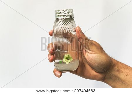Researcher hand with test tube with in vitro cloned microplant in nutrient medium, research bioengineering gmo concept