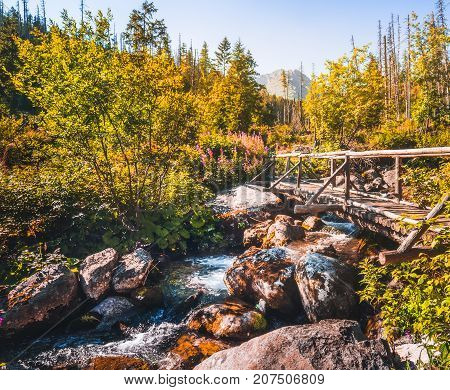 Old Wooden Bridge in Forest in Velicka Valley Leading to Gerlachovsky Peak High Tatras Slovakia