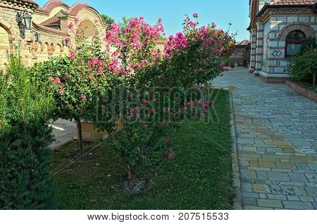 Small garden with decorative plants at monastery in Kac, Serbia