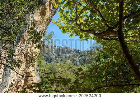 Forest Landscape In Gliki Park, at the springs of the Aheron River, Greece.