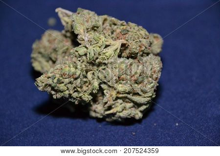 Bugatti OG is an indica dominant hybrid medical cannabis  strain