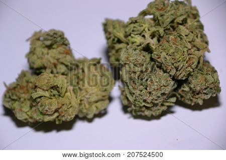 Bugatti OG is an indica dominant hybrid medical cannabis  strain