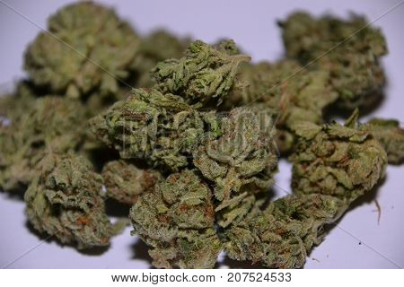 Bugatti OG is an indica dominant hybrid medical cannabis  strain