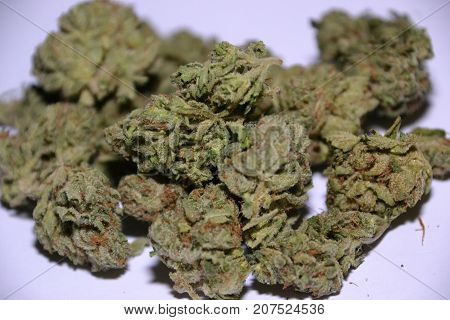 Bugatti OG is an indica dominant hybrid medical cannabis  strain