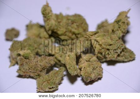 monster glue is an indica cannabis strain