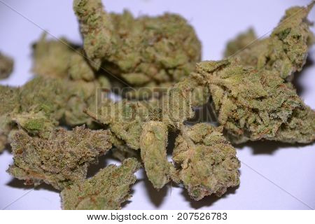 monster glue is an indica cannabis strain
