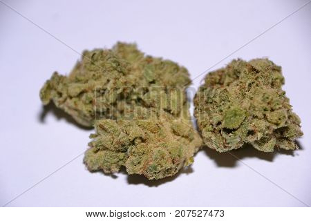 monster glue is an indica cannabis strain