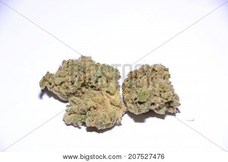 monster glue is an indica cannabis strain