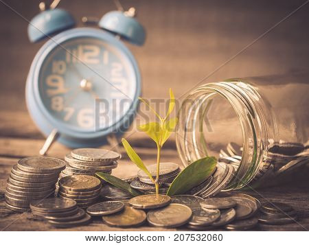 Vintage baby tree with coins in glass jar on old wooden background. Business financce and saving money concpt.