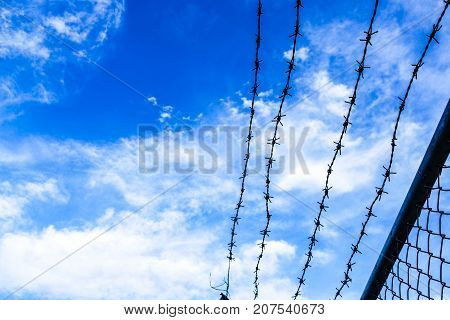 White clouds in the blue sky