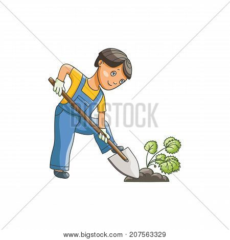 vetor flat cartoon teen boy in worksuit digging the hole by shovel to plant a plant or bush. Isolated illustration on a white background. Children at garden concept.