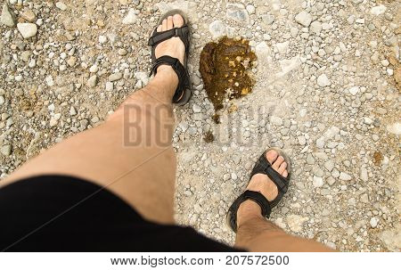 cow shit on the road and the feet of a man