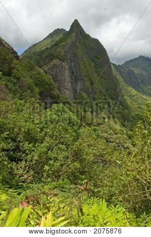 Pali Lookout