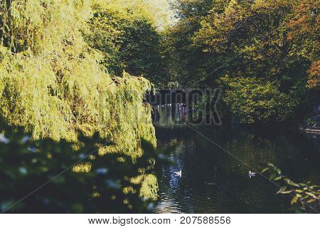 DUBLIN IRELAND - September 30th 2017: Detail of St Stephen's Green park near the pond with early autumn tones and little brdige with unidentified people